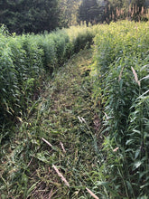 Load image into Gallery viewer, Bercomac ATV Mower